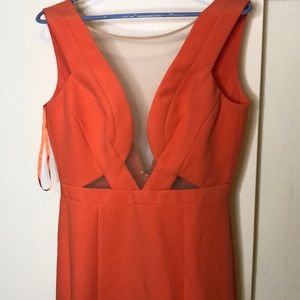 BCBG Coral Fancy Dress